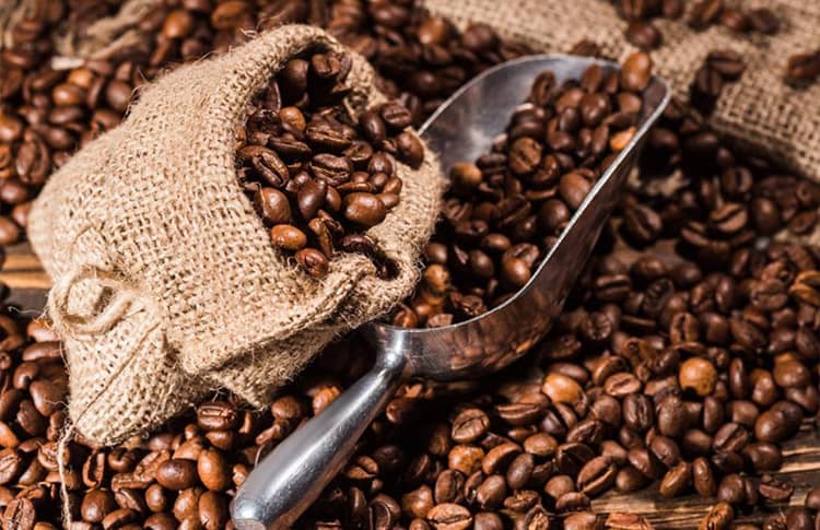 Coffee Export Logistics